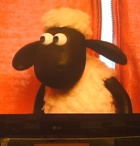 Avatar du membre
