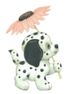 Avatar du membre